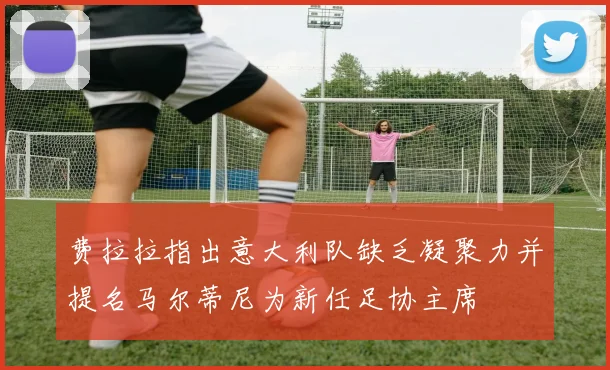 费拉拉指出意大利队缺乏凝聚力并提名马尔蒂尼为新任足协主席