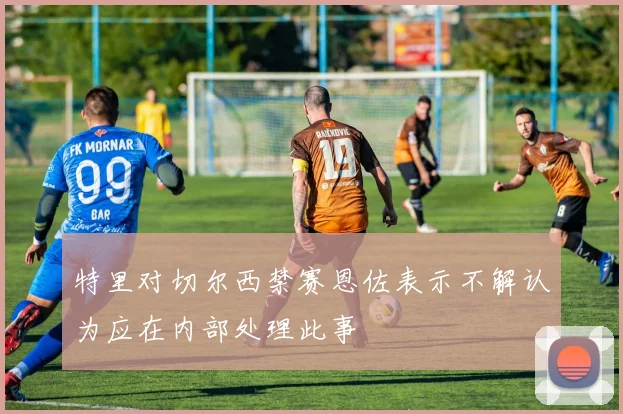 特里对切尔西禁赛恩佐表示不解认为应在内部处理此事